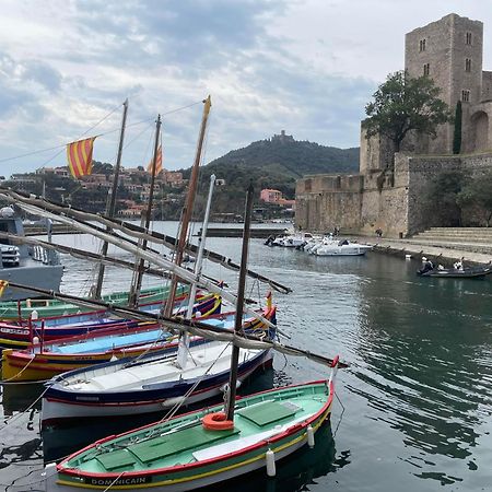 6Lam16 Maison Typique Avec Toit-Terrasse Collioure Bagian luar foto