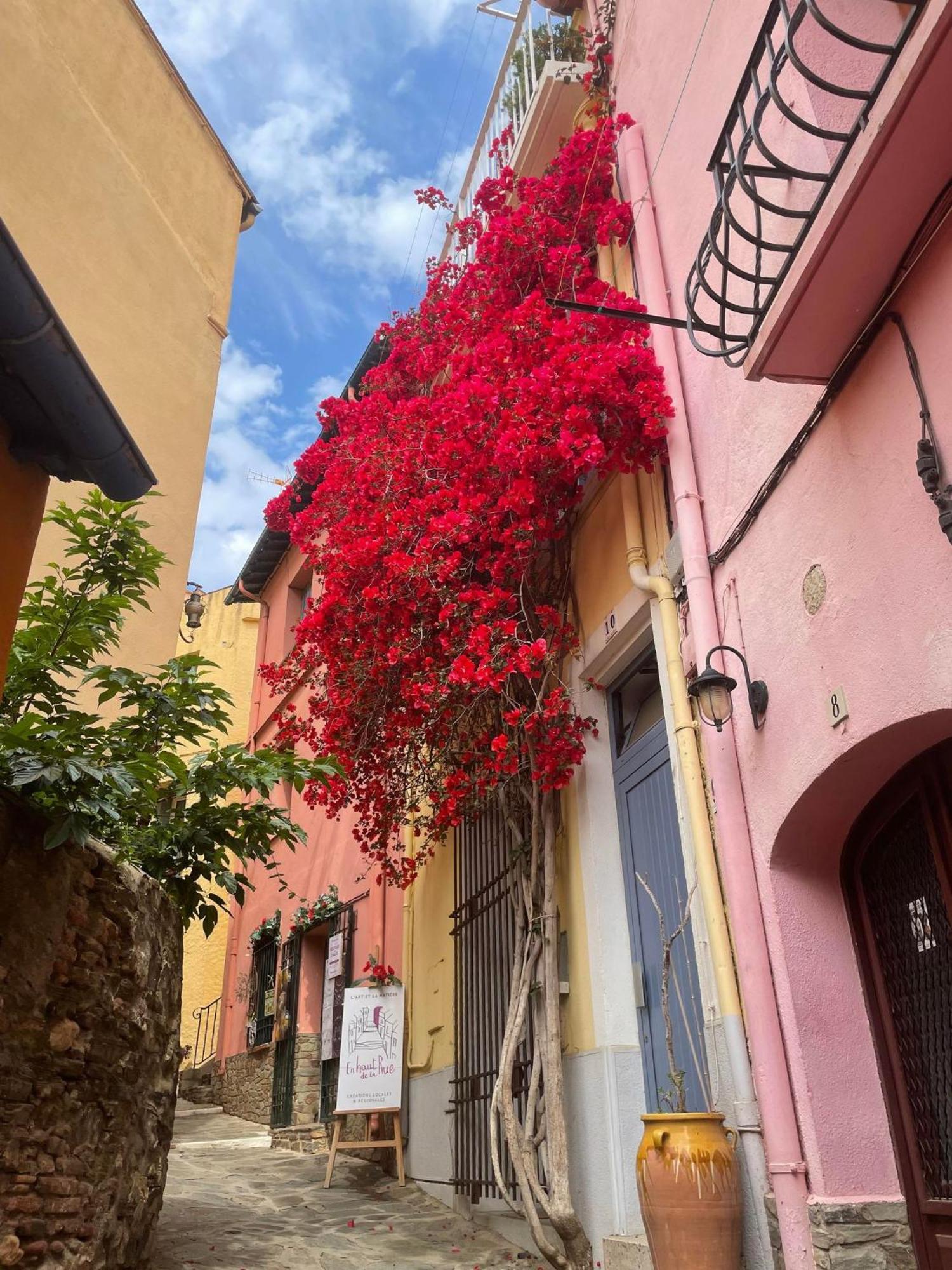 6Lam16 Maison Typique Avec Toit-Terrasse Collioure Bagian luar foto